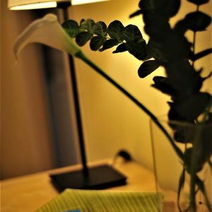 Kamer met Twee Aparte Bedden